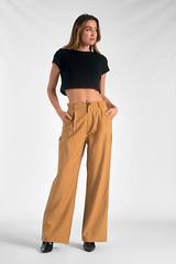 Pleated Trousers